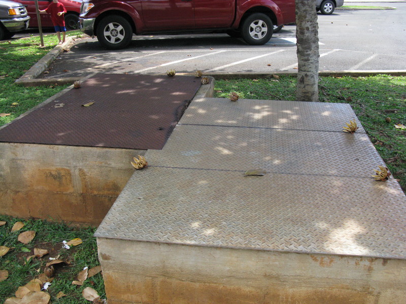Boxes in the island area of culdesac. See how artfully the children have placed the foliage stuff?