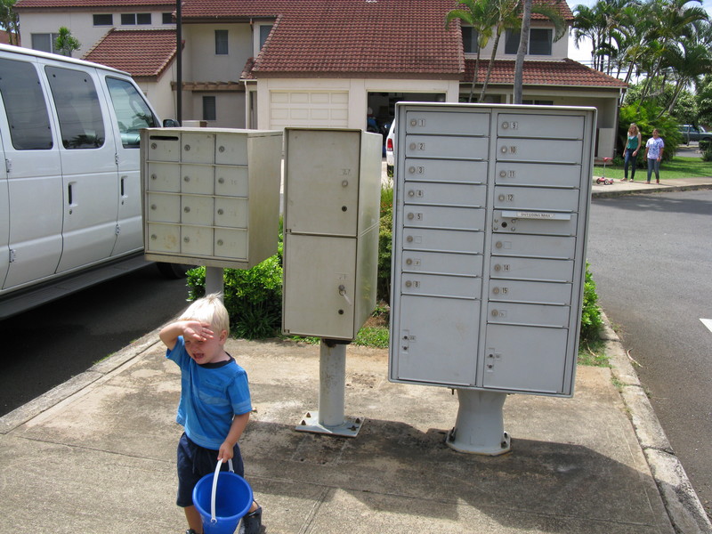 One of Katie's boys that just hit his head on the mailbox.