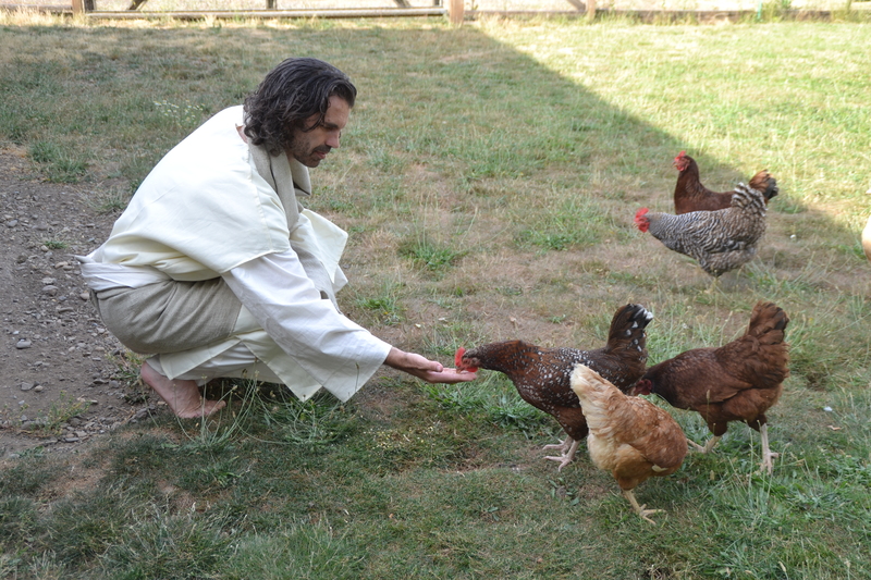 Psalm 91:4
KJV 4 He shall cover thee with his feathers, and under his wings shalt thou trust: his truth shall be thy shield and buckler.