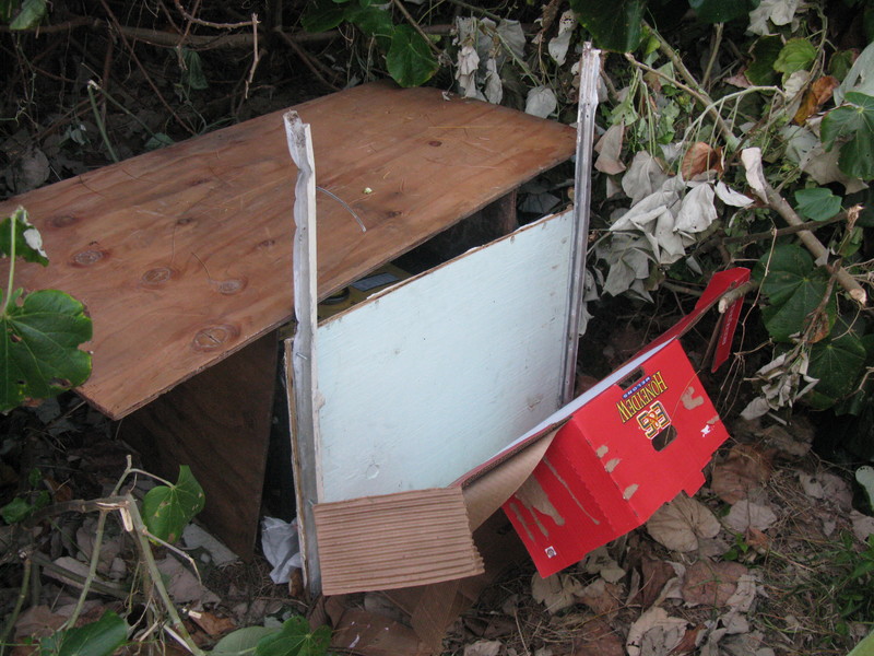 Took a while to find the generator. It was hidden in the bushes.